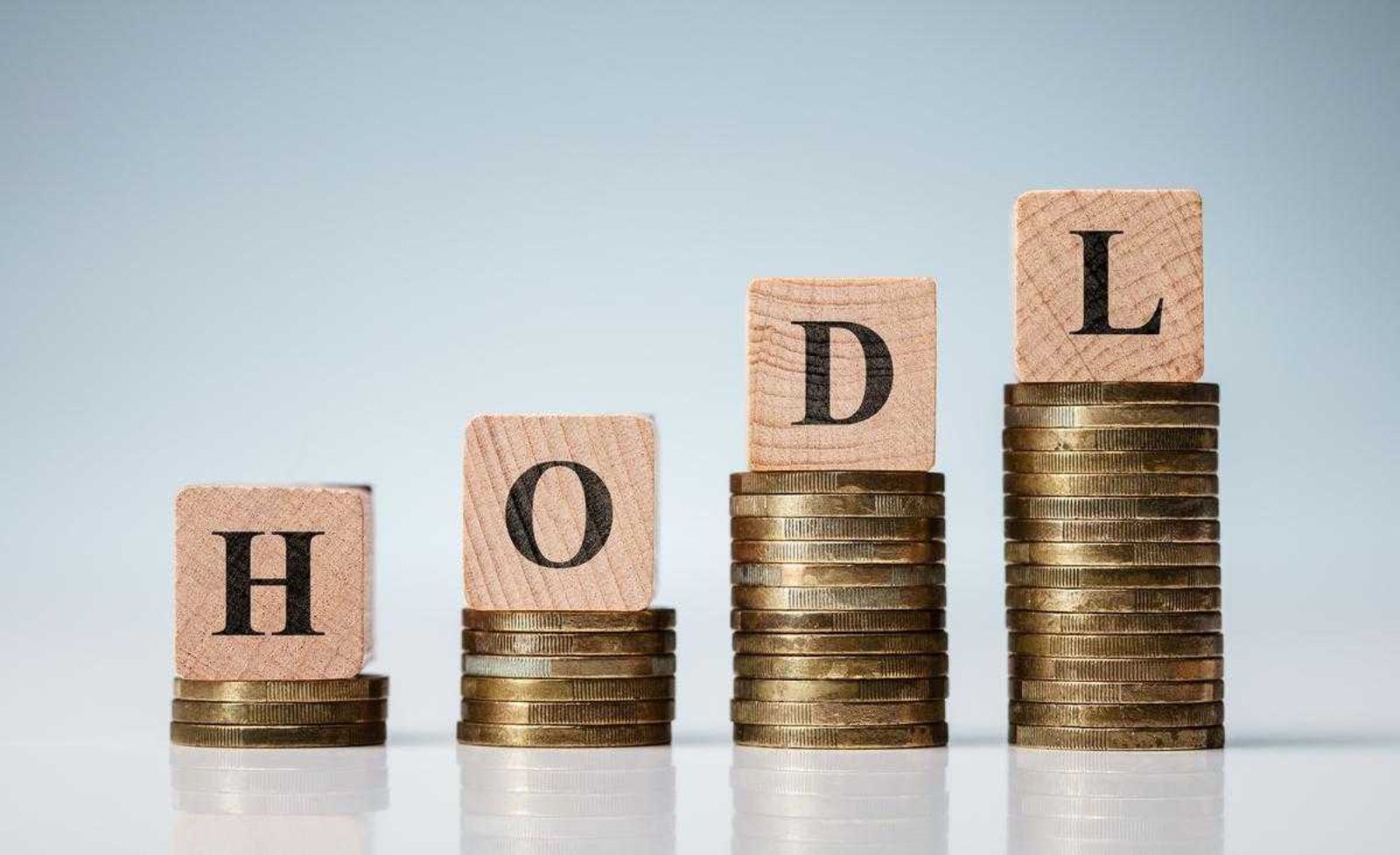 what does hodl mean