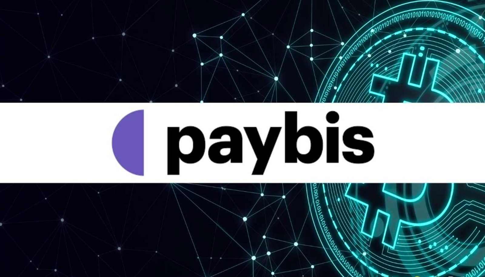 Paybis Exchange Review: Features, Fees, and Security